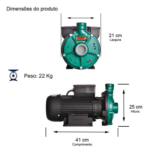 Thebe Th-16nr 3,0cv Verde 127v/220v Monofásica 60 Hz