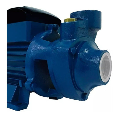 Bomba Periférica Periférica Lepono Bp60 0.5hp Cor Azul 127