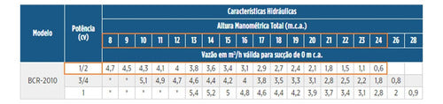 Bomba Centrífuga Centrífuga Schneider Bcr-2010 0.5cv Cor V