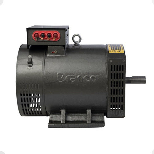 Alternador Gerador De Energia 11.0kva 220/380v Trif - Branco