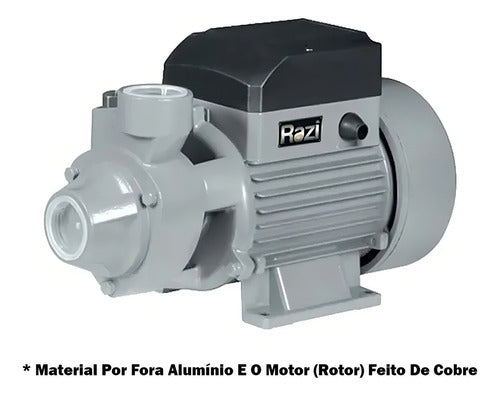 Moto Bomba Periférica 1/2 Cv Razi 127v