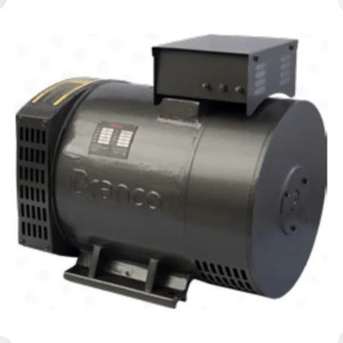 Alternador Gerador De Energia 11.0kva 220/380v Trif - Branco