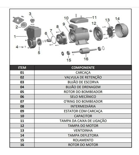 Motobomba Periférica Poço Auto Aspirante Wmpa37h 1/2cv Cla